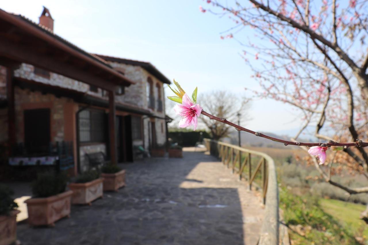 B&B Casale Roshlee Gualdo Cattaneo Esterno foto